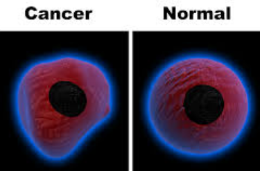 Cancer_cell_vs_normal_cell.png