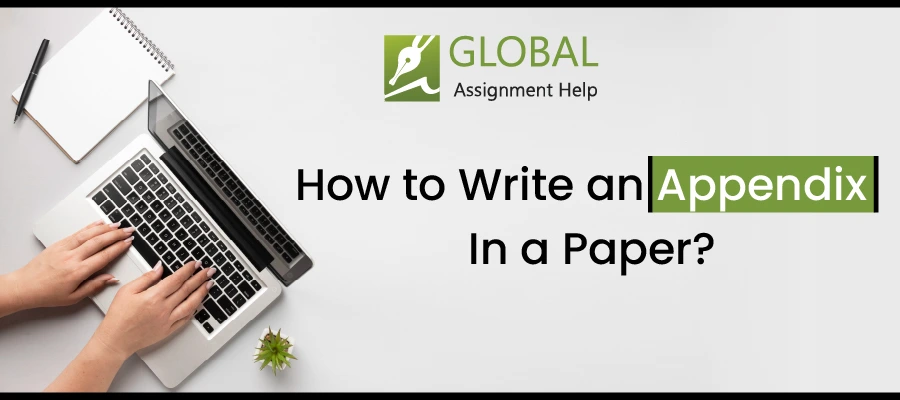 How to Write an Appendix In a Paper?