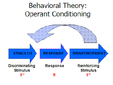 Theory of Behaviourism
