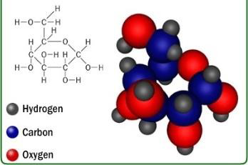 molecule.png