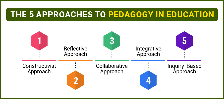 What Is Pedagogy in Education? All You Need to Know